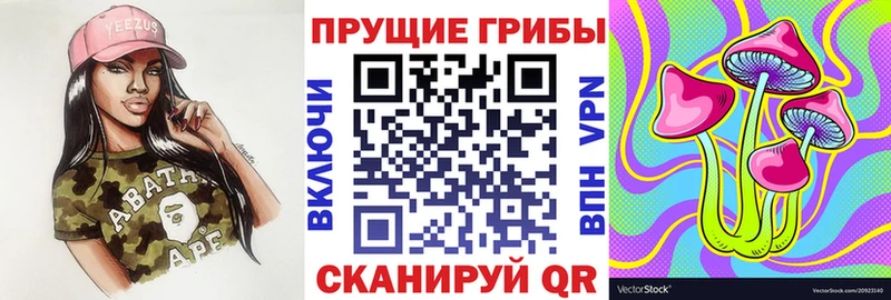 наркошоп  KRAKEN ТОР  Псилоцибиновые грибы Magic Shrooms  Сунжа 