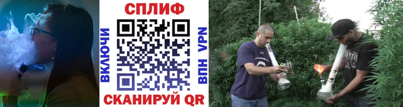 Конопля Ganja  Сунжа 